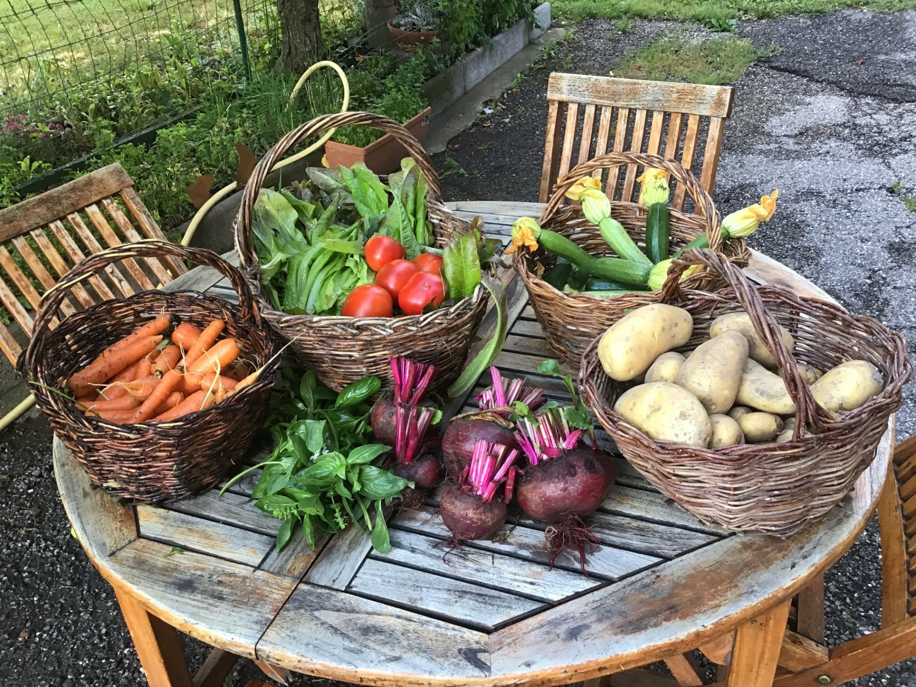 Paniers de légumes frais du jardin — carottes, tomates, courgettes, betteraves, pommes de terre